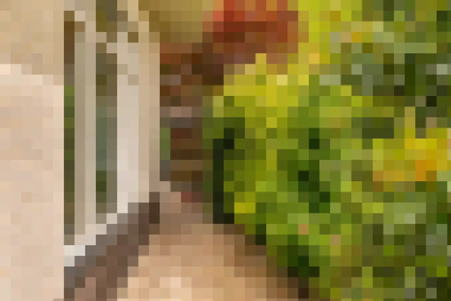 Leeuweriklaan 13 c Hoogeveen thumbnail 45