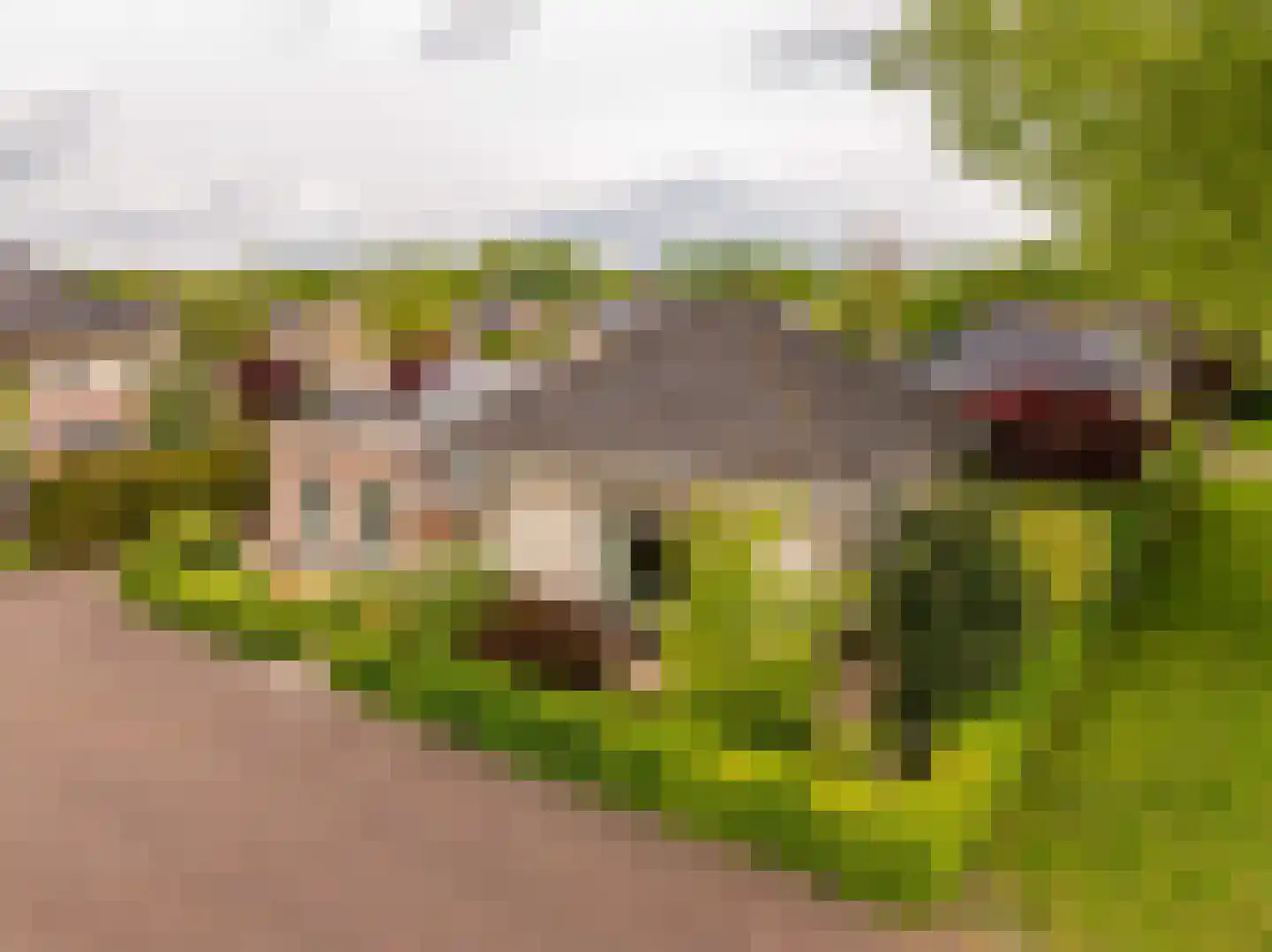 Leeuweriklaan 13 c Hoogeveen thumbnail 46