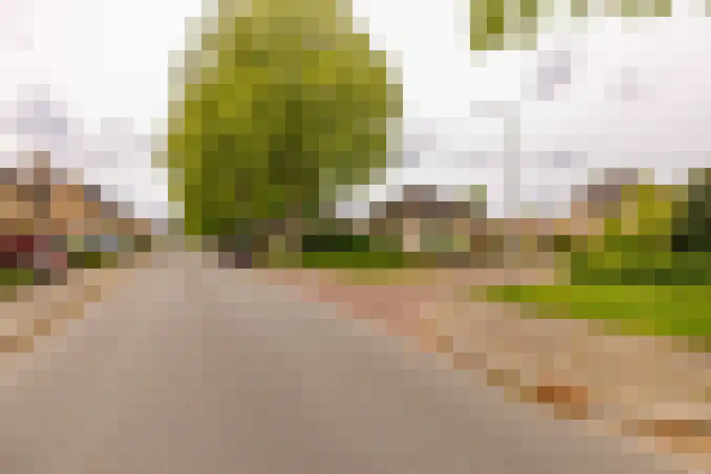 Leeuweriklaan 13 c Hoogeveen thumbnail 53