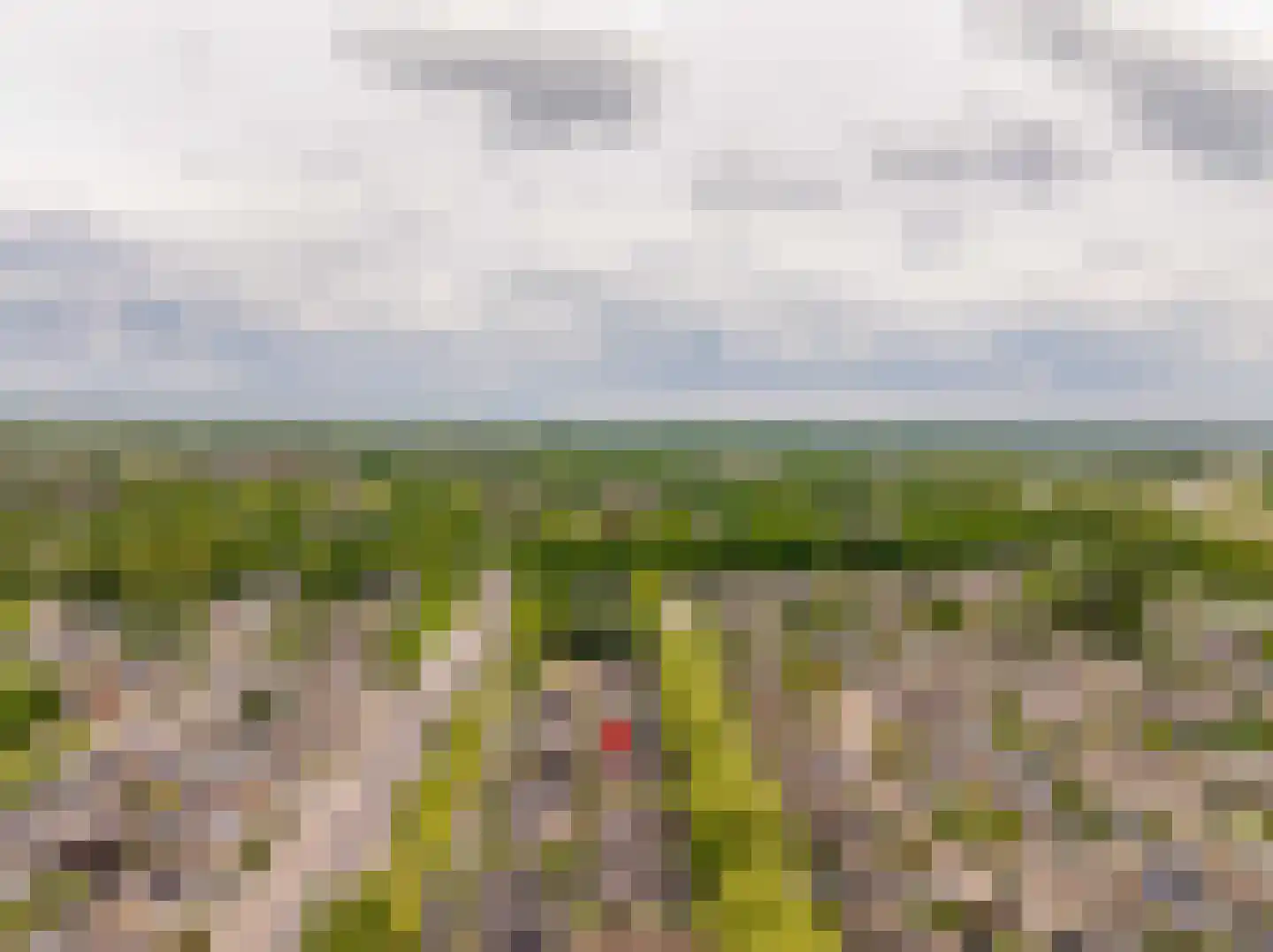 Leeuweriklaan 13 c Hoogeveen thumbnail 56