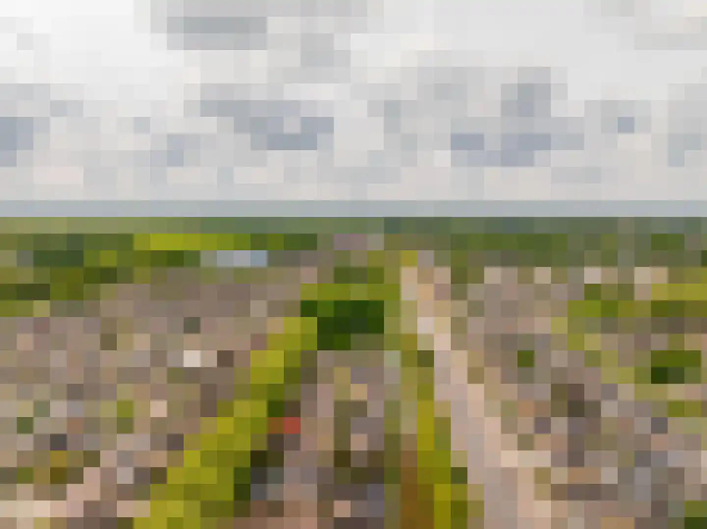 Leeuweriklaan 13 c Hoogeveen thumbnail 57