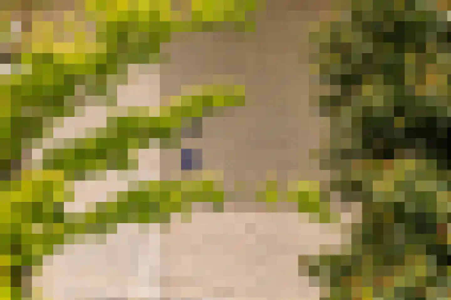 Leeuweriklaan 13 c Hoogeveen thumbnail 7