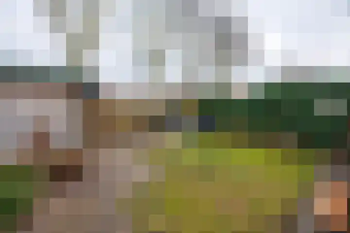 Leeuweriklaan 14 Delft thumbnail 18