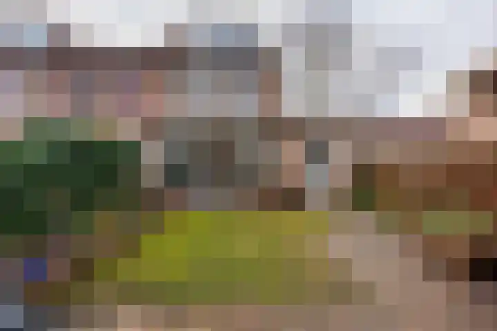 Leeuweriklaan 14 Delft thumbnail 19