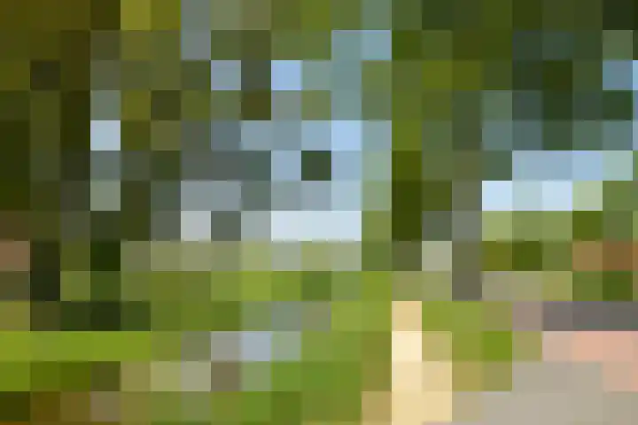 Leeuweriklaan 14 Delft thumbnail 32