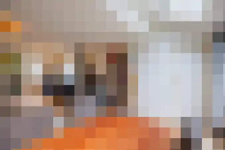 Leeuweriklaan 14 Delft thumbnail 6