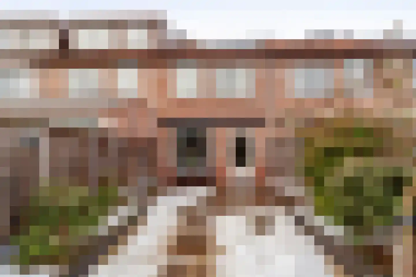 Leeuweriklaan 15 Delft thumbnail 26