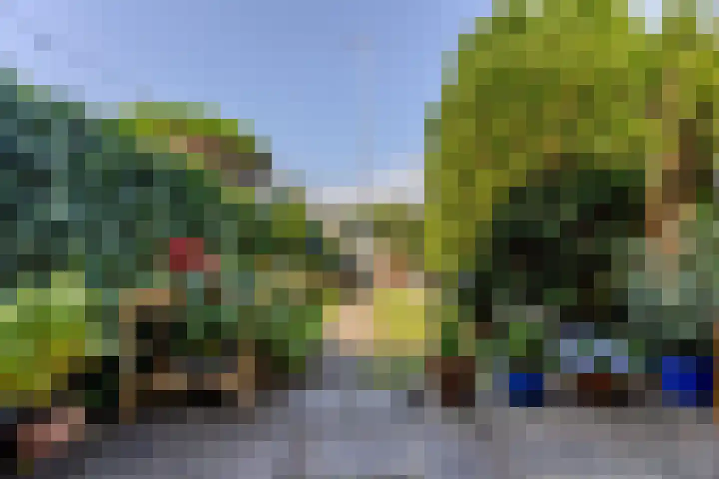 Leeuweriklaan 15 Rotterdam thumbnail 10