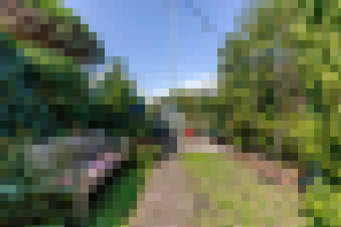 Leeuweriklaan 15 Rotterdam thumbnail 11