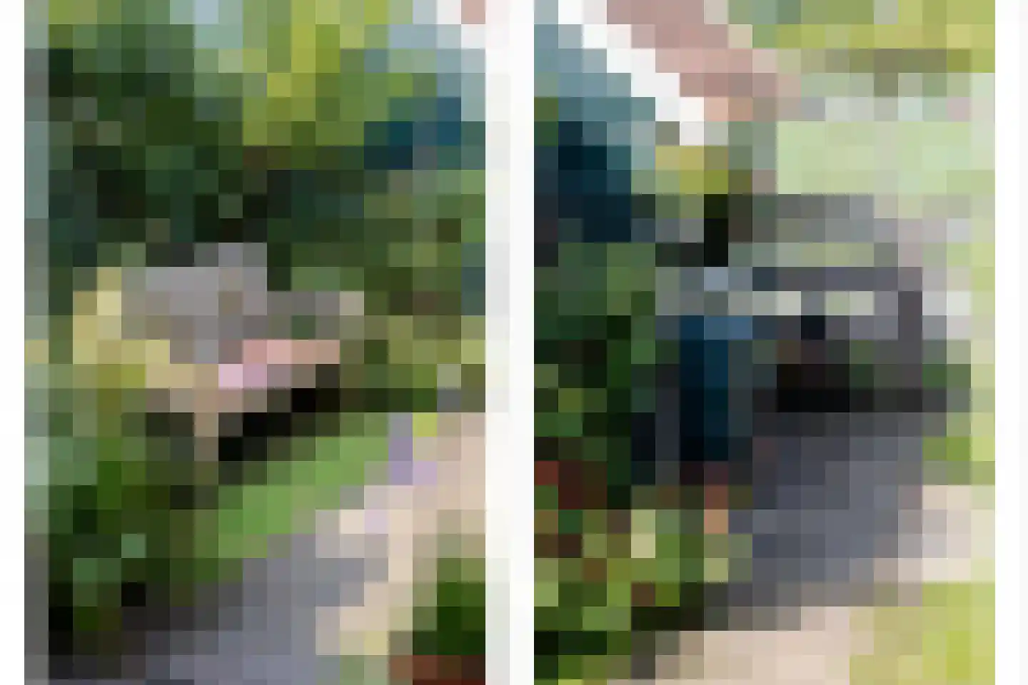 Leeuweriklaan 15 Rotterdam thumbnail 12
