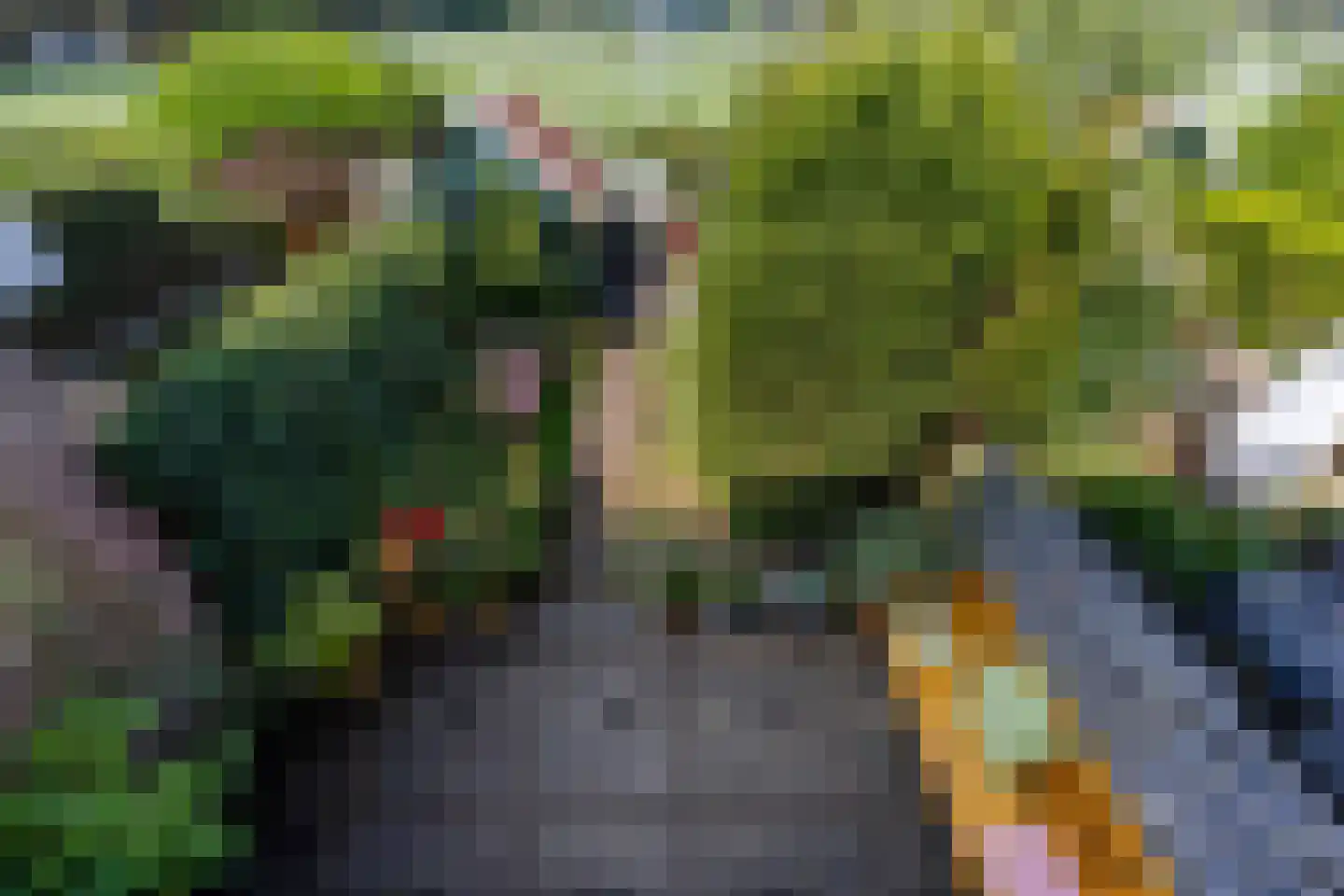 Leeuweriklaan 15 Rotterdam thumbnail 13