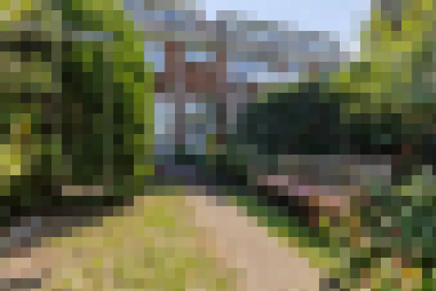 Leeuweriklaan 15 Rotterdam thumbnail 17