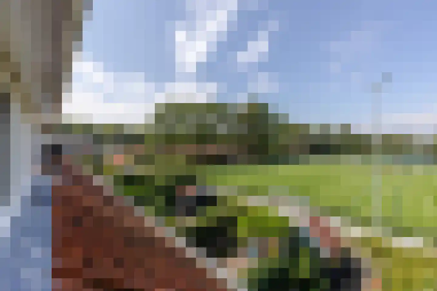 Leeuweriklaan 15 Rotterdam thumbnail 35