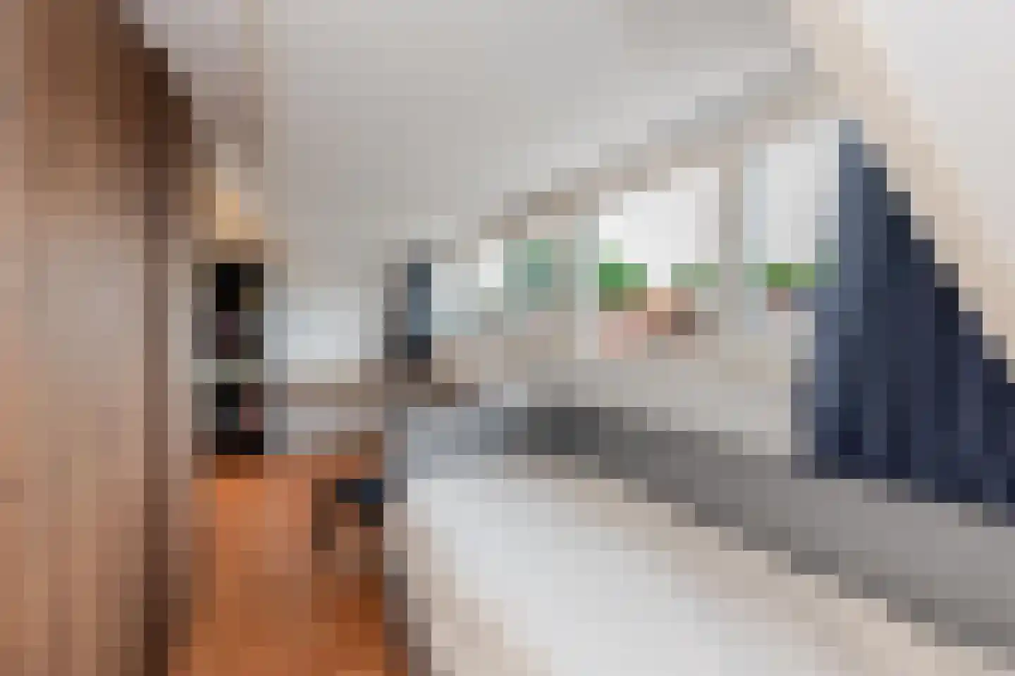 Leeuweriklaan 15 Rotterdam thumbnail 48