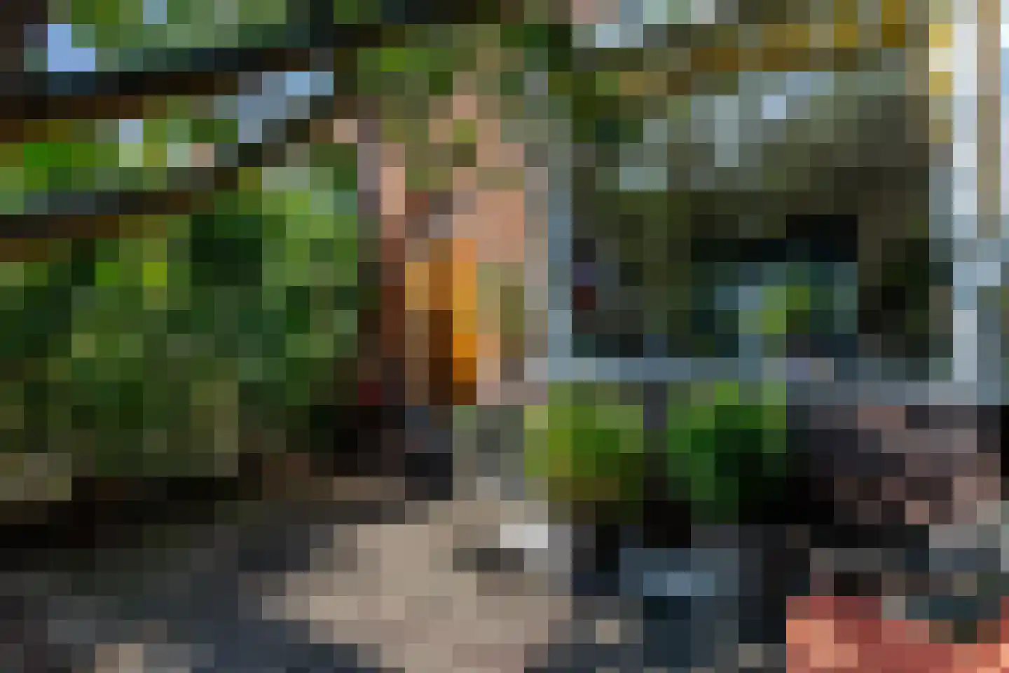 Leeuweriklaan 15 Rotterdam thumbnail 54