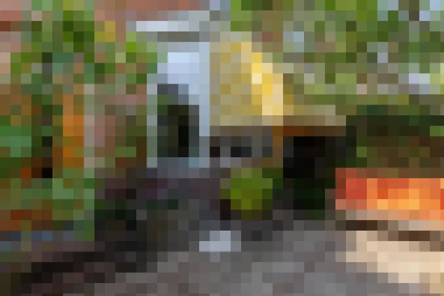 Leeuweriklaan 15 Rotterdam thumbnail 55