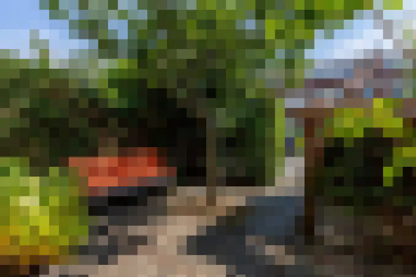 Leeuweriklaan 15 Rotterdam thumbnail 56