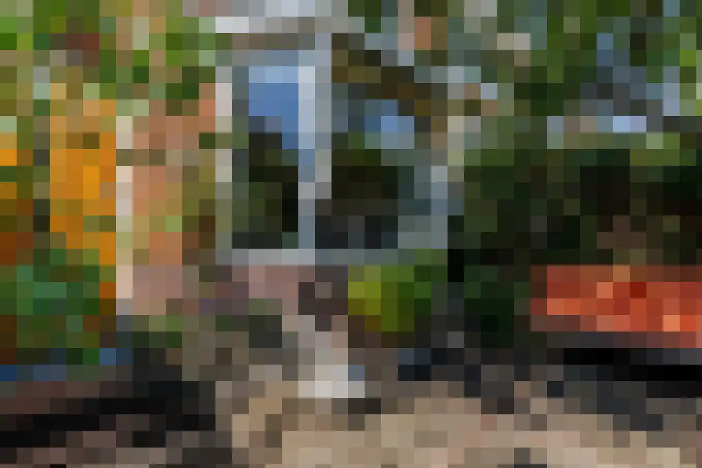 Leeuweriklaan 15 Rotterdam thumbnail 62