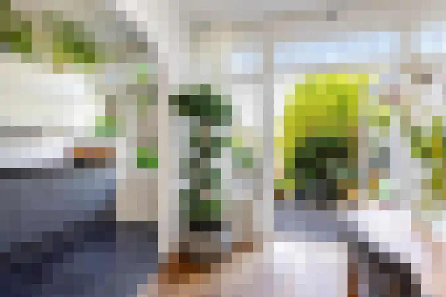 Leeuweriklaan 15 Rotterdam thumbnail 9