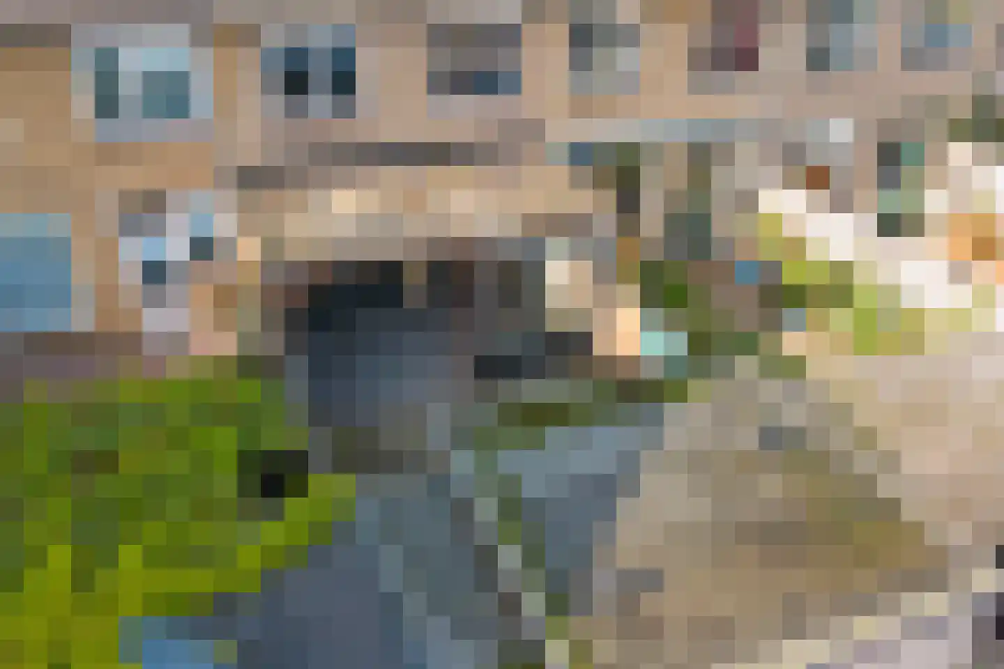 Leeuweriklaan 16 Enkhuizen thumbnail 37