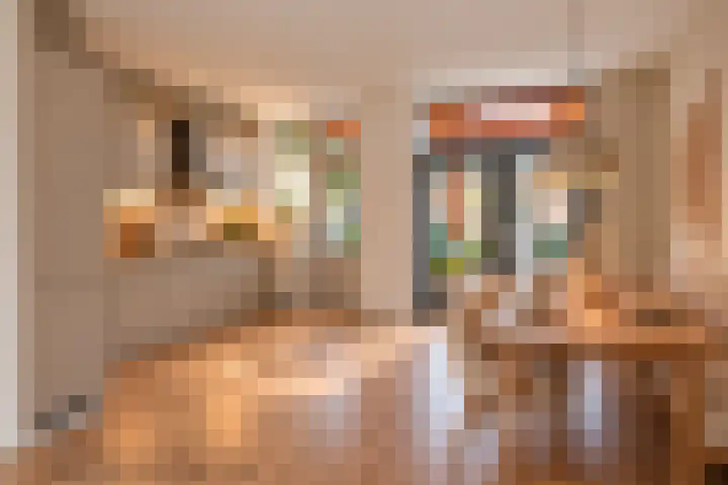 Leeuweriklaan 16 Enkhuizen thumbnail 4