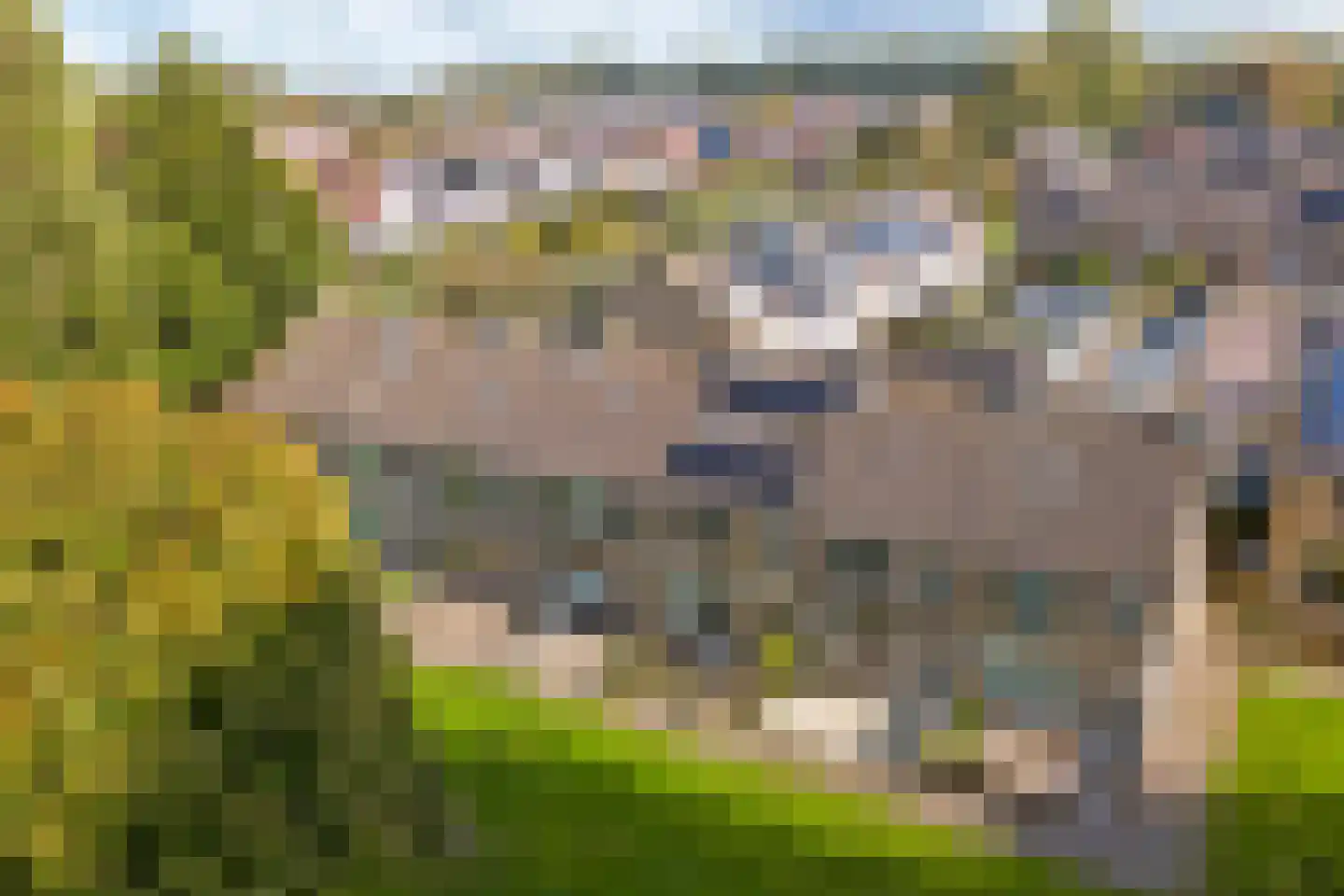Leeuweriklaan 16 Enkhuizen thumbnail 8