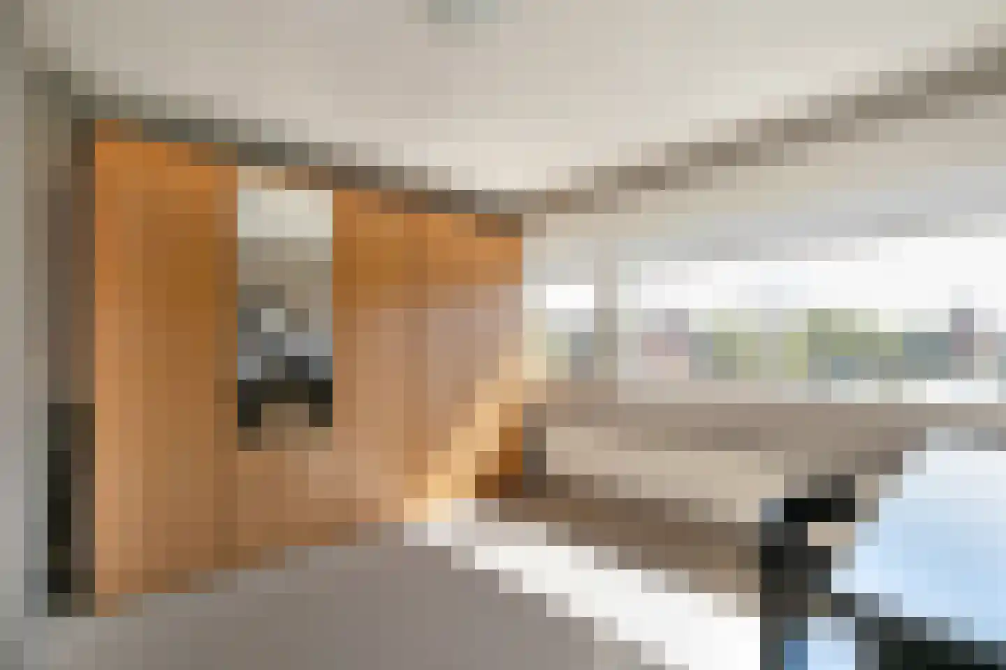Leeuweriklaan 18 Hoevelaken thumbnail 24