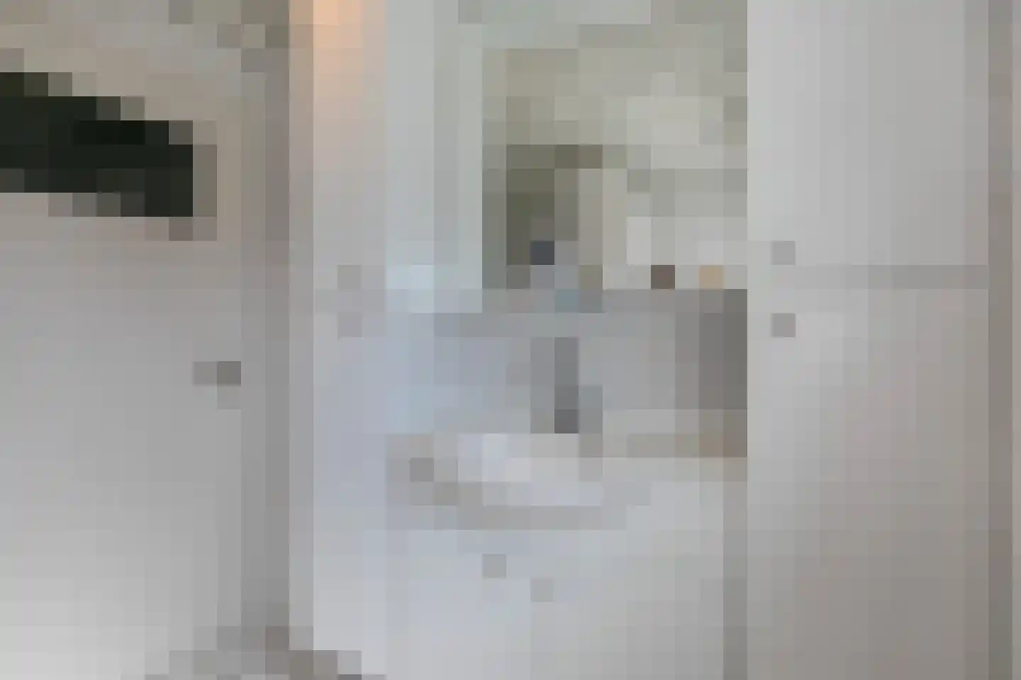 Leeuweriklaan 18 Hoevelaken thumbnail 26