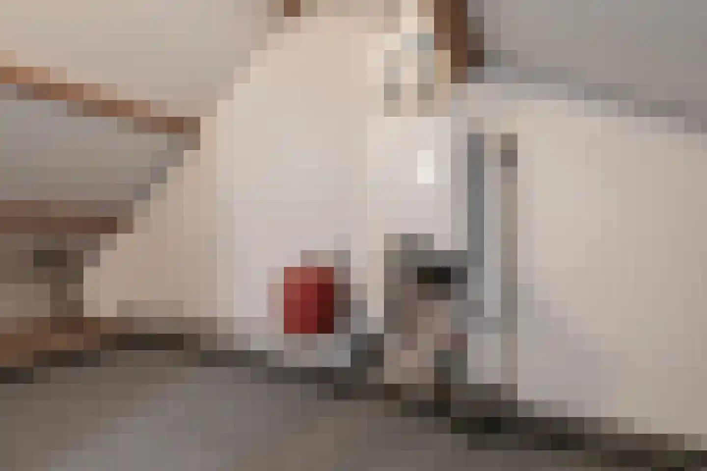 Leeuweriklaan 18 Hoevelaken thumbnail 27