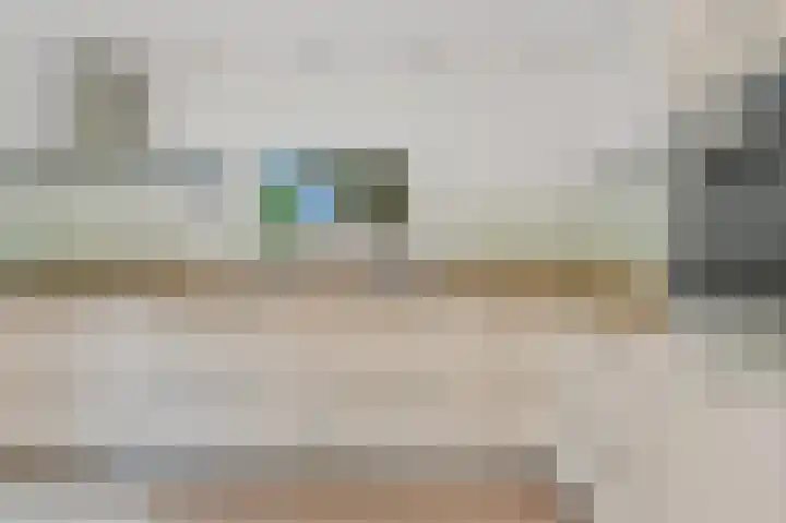 Leeuweriklaan 19 Rijswijk thumbnail 26
