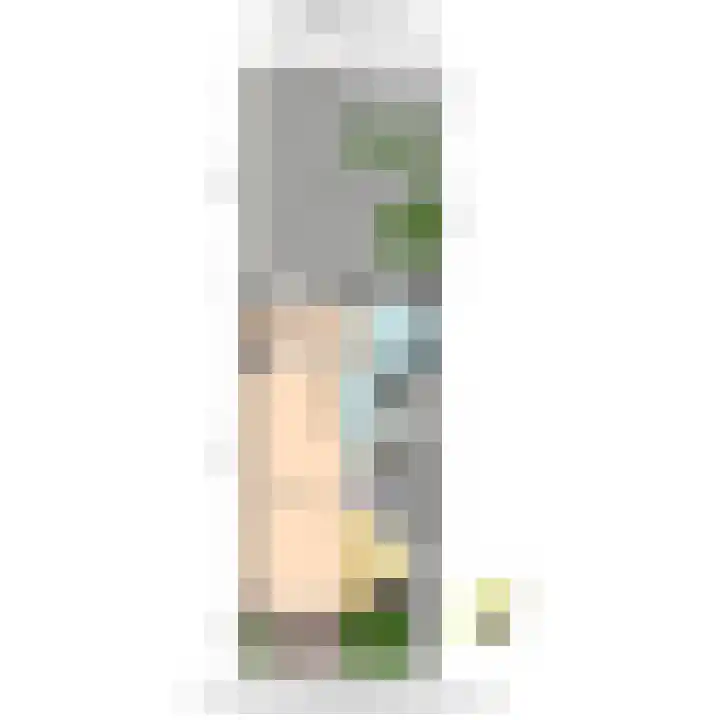 Leeuweriklaan 19 Rijswijk thumbnail 44