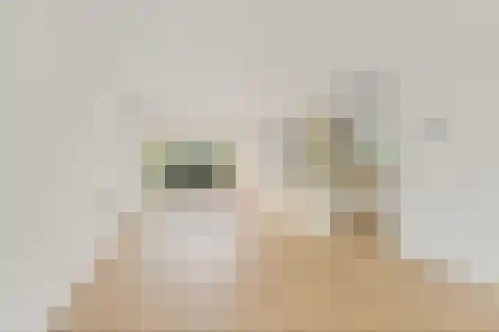 Leeuweriklaan 19 Rijswijk thumbnail 5
