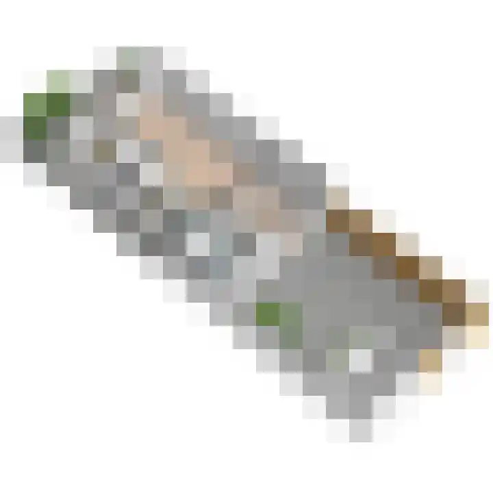 Leeuweriklaan 19 Rijswijk thumbnail 64