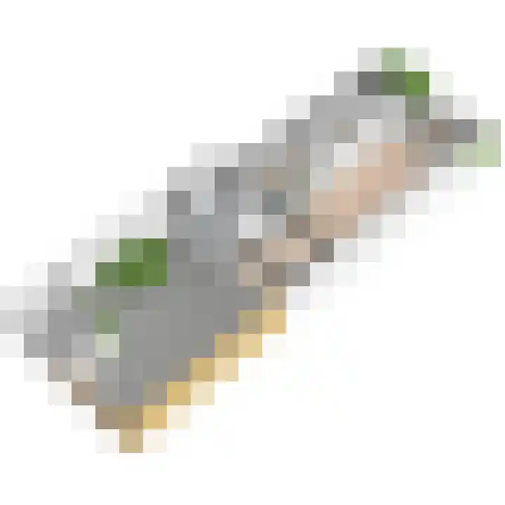 Leeuweriklaan 19 Rijswijk thumbnail 65