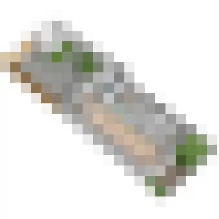 Leeuweriklaan 19 Rijswijk thumbnail 66
