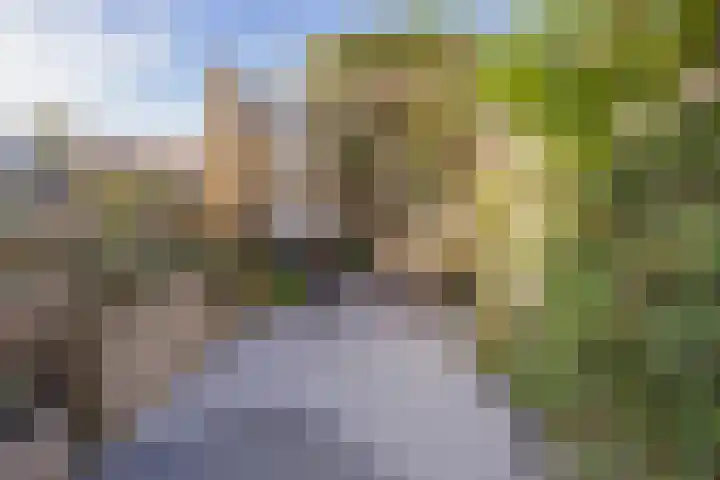 Leeuweriklaan 2 IJmuiden thumbnail 19