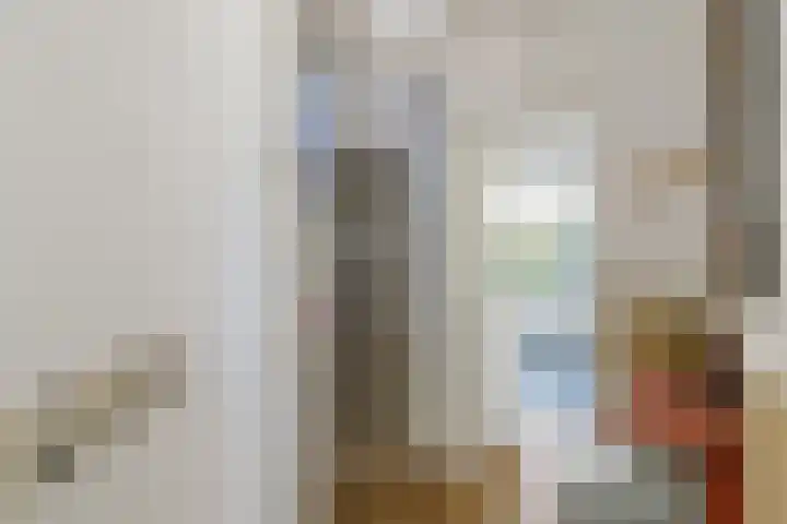 Leeuweriklaan 2 IJmuiden thumbnail 5