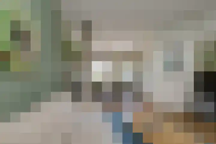 Leeuweriklaan 2 IJmuiden thumbnail 7