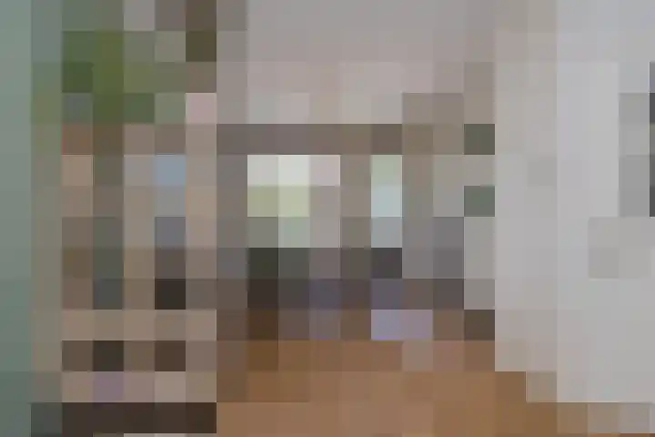 Leeuweriklaan 2 IJmuiden thumbnail 8