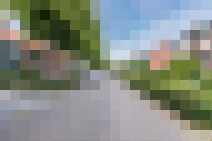 Leeuweriklaan 22 Hapert thumbnail 35