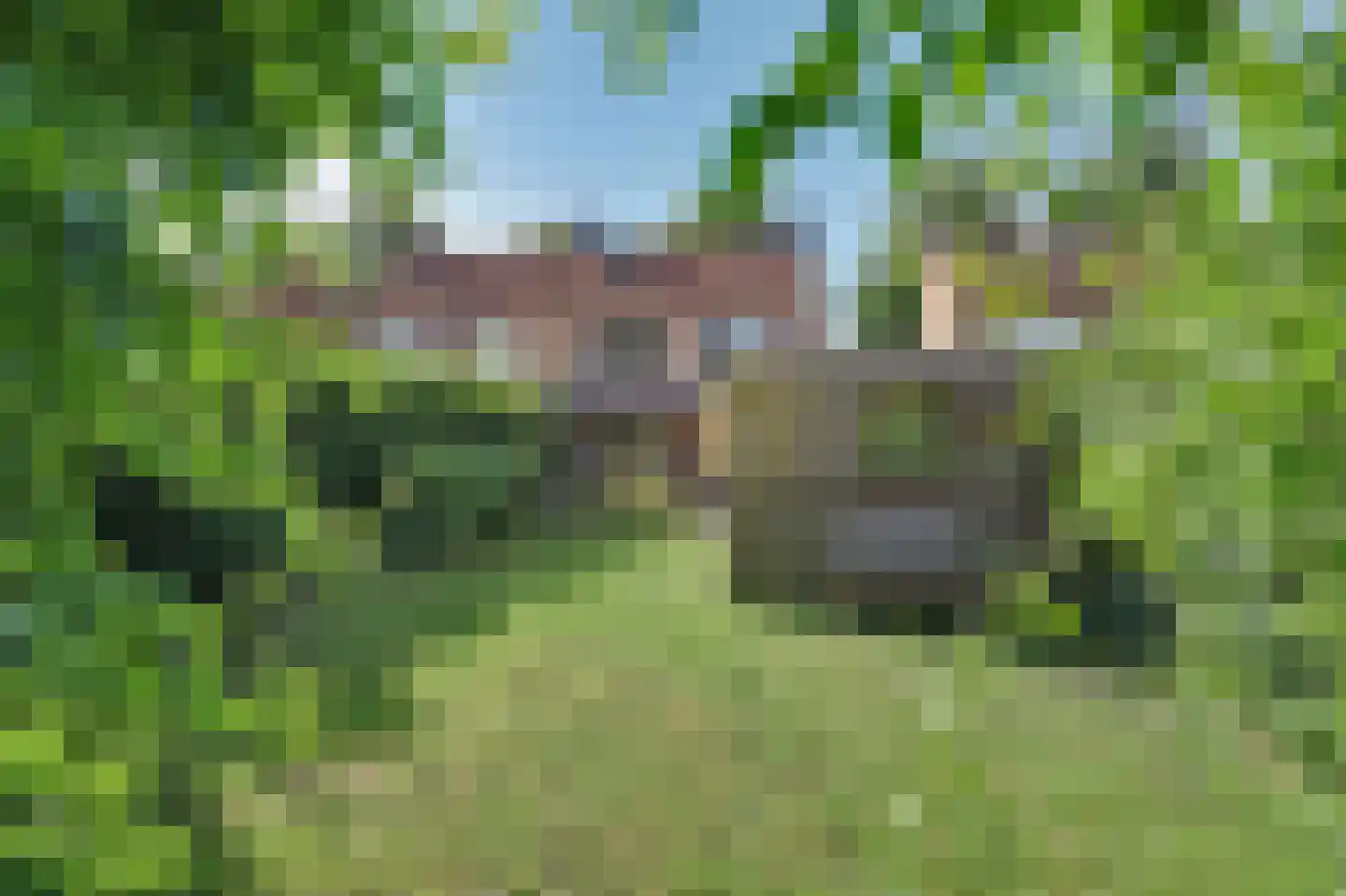 Leeuweriklaan 24 Hapert thumbnail 30