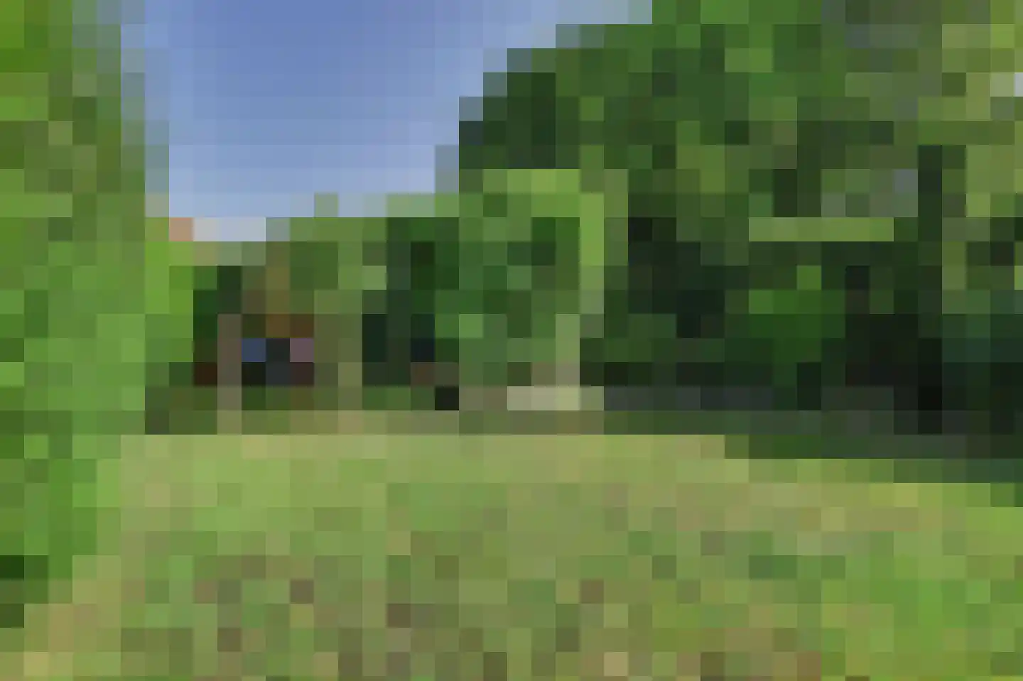 Leeuweriklaan 24 Hapert thumbnail 31
