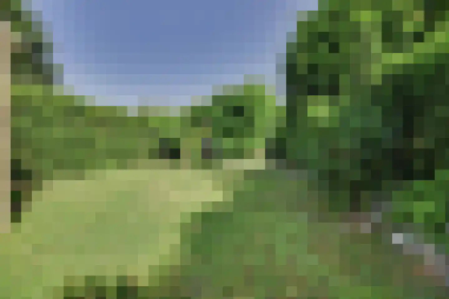 Leeuweriklaan 24 Hapert thumbnail 33