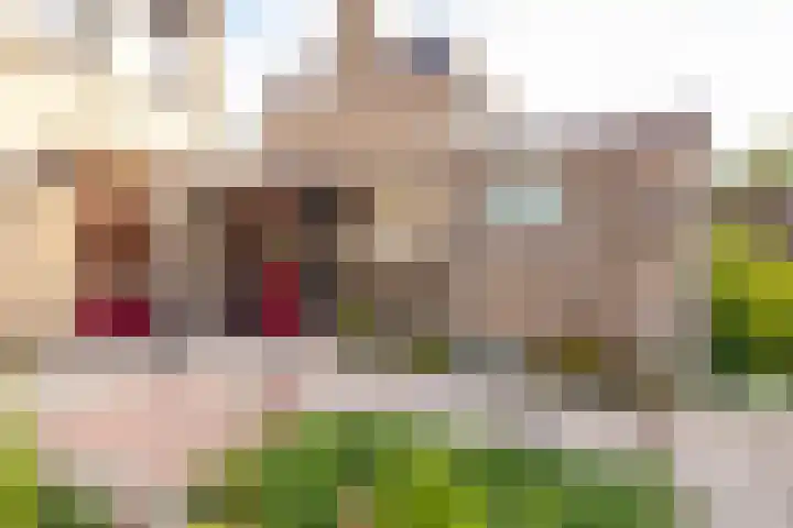 Leeuweriklaan 28 Hoogeveen thumbnail 21