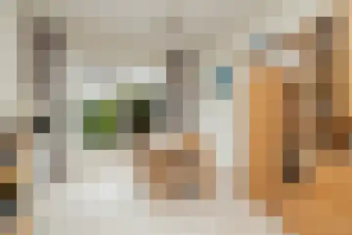 Leeuweriklaan 28 Hoogeveen thumbnail 4
