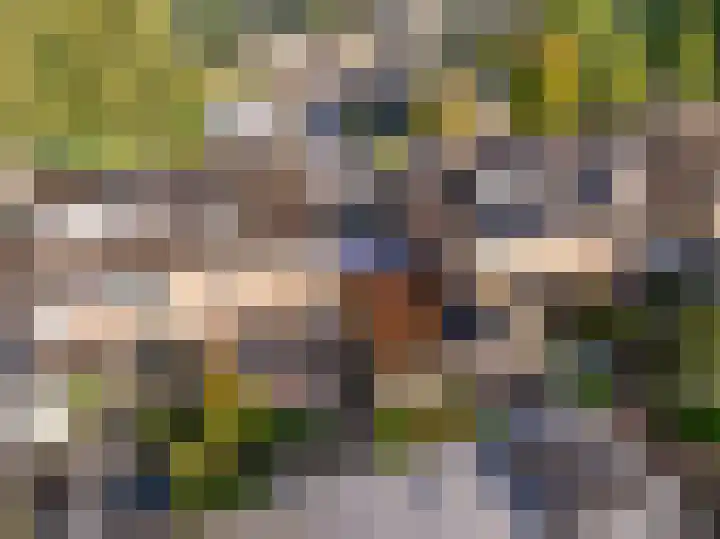 Leeuweriklaan 28 Hoogeveen thumbnail 44