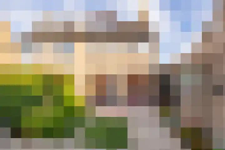 Leeuweriklaan 28 Hoogeveen thumbnail 45