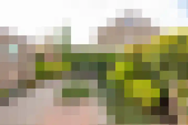 Leeuweriklaan 28 Hoogeveen thumbnail 49