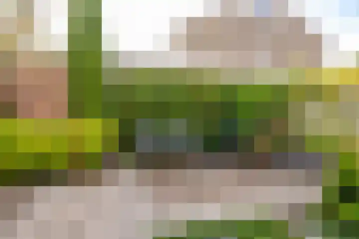 Leeuweriklaan 28 Hoogeveen thumbnail 50