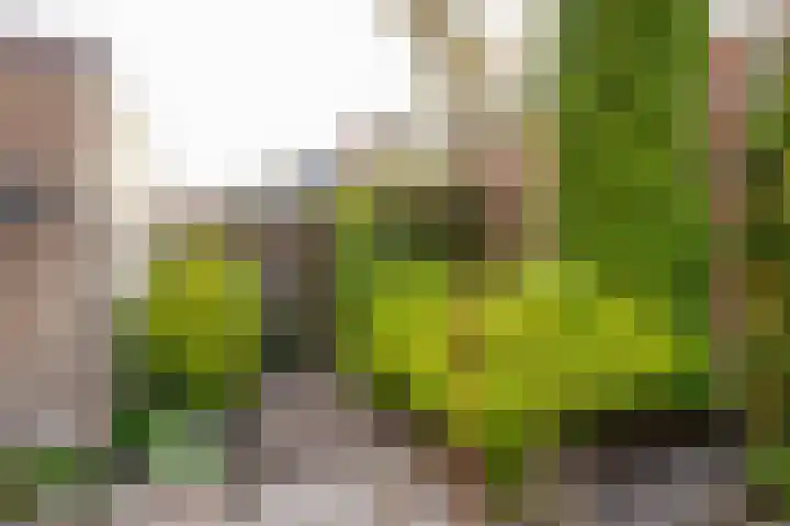 Leeuweriklaan 28 Hoogeveen thumbnail 51
